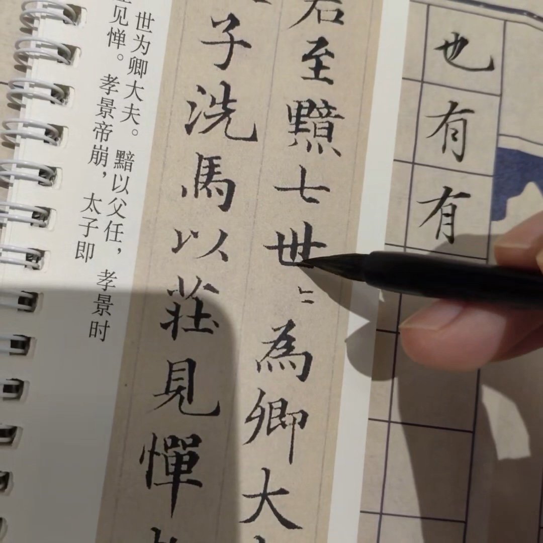 用笔示范：有、世