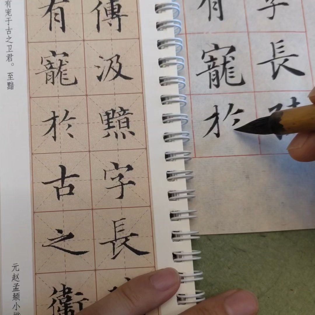 开篇续写：濮阳、其先有宠